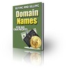 Thumbnail Buying and Selling Domain Names + PLR