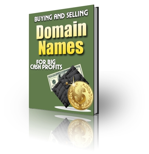 Product picture Buying and Selling Domain Names + PLR