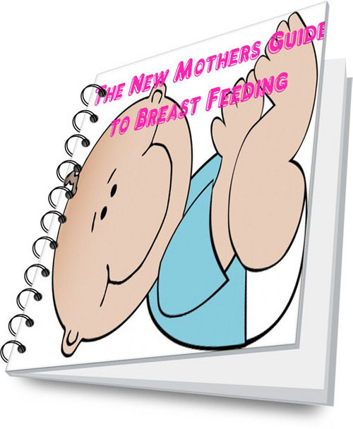 Product picture Guide to Breast Feeding (Private Label Rights)