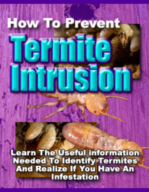 Product picture Termite Intrusion (Private Label Rights)