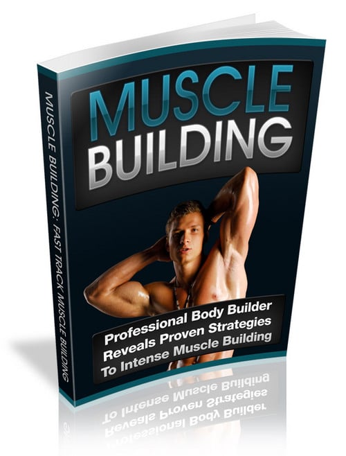 Product picture Muscle Building (PLR)